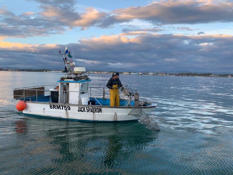 Piccola pesca, nasce la prima rete dell’Emilia-Romagna: già 44 soci e 50 imbarcazioni