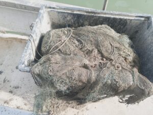 Piccola pesca in ginocchio, cento barche ferme lungo la Riviera