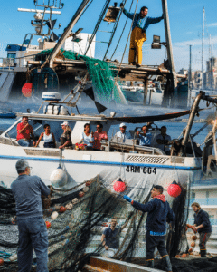 Pesca, Cesenatico si ferma: protesta in oltre 45 marinerie italiane