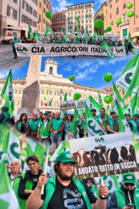 Campi pagati meno, spesa più cara: Cia Romagna protesta a Montecitorio